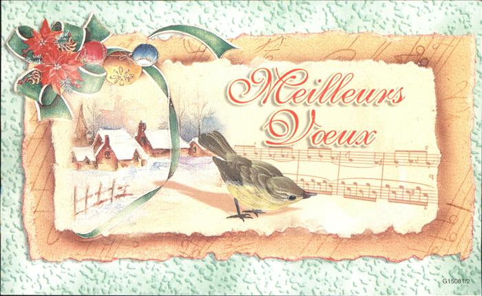 Voegel Birds Oiseaux Uccelli Pajaros-- Christbaumkugeln Noten Weihnachten