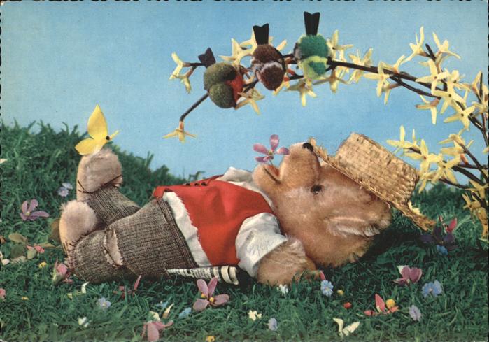 Teddy Teddybaer Teddy-bear Vögel Schmetterling Zeitung