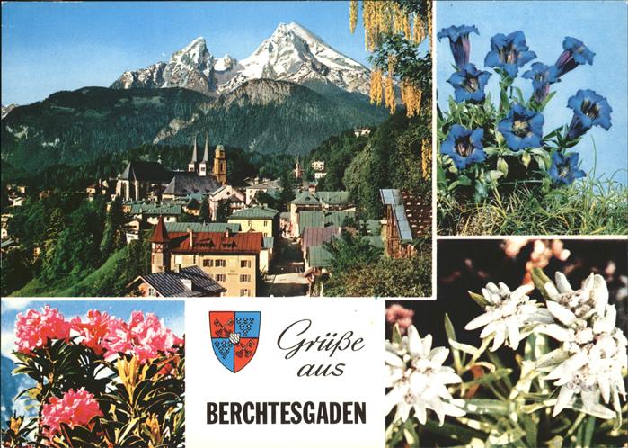 Blumen Edelweiss Enzian Berchtesgaden