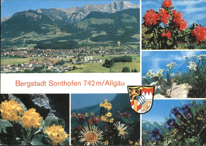 Edelweiss Enzian Alpenblumen Sonthofen