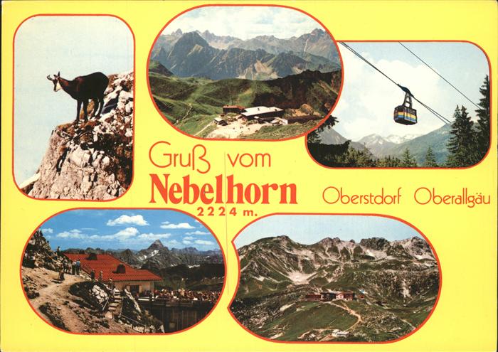 Gemse Seilbahn Nebelhorn Oberstdorf