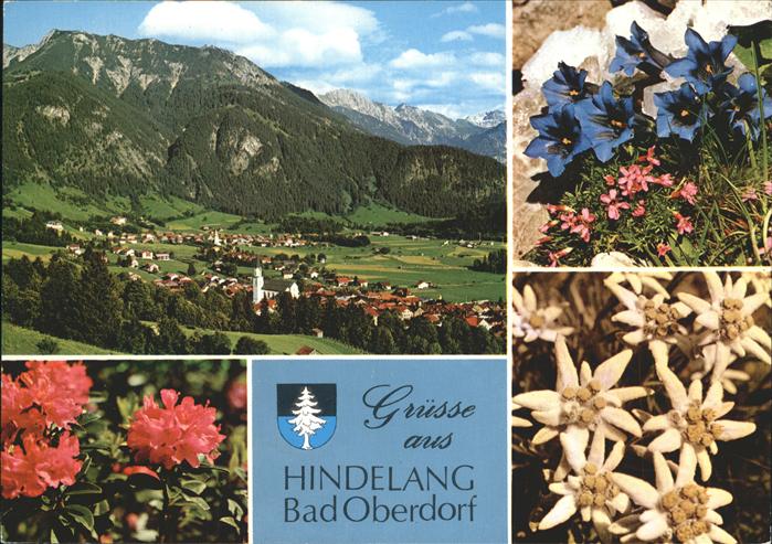 Blumen Edelweiss Enzian Hindelang