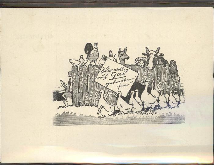 Tiere Gänse Hühner Hase Kuh Werbung Gas