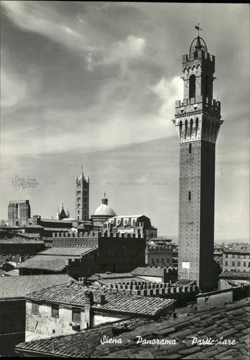 Siena Panorama Detail
