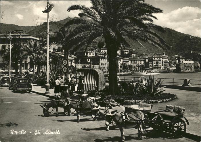 Rapallo Gli Asinelli