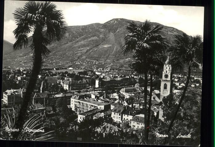 Merano Meran Panorama