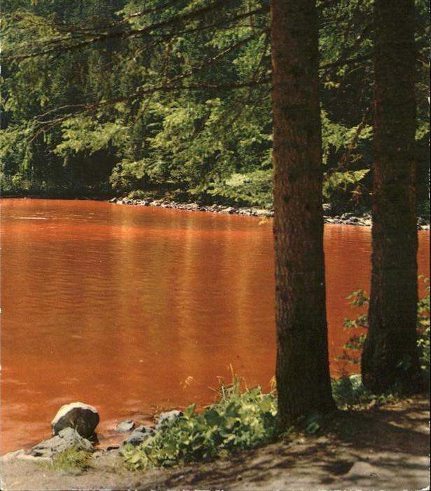 Brenta Lago Rosso di Tovel