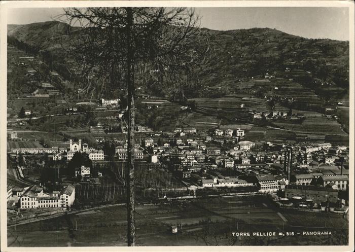 Torre Pellice Panorama