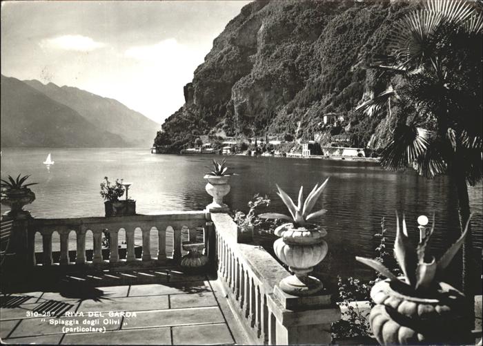 Riva del Garda Spiaggia degli Olivi particolare