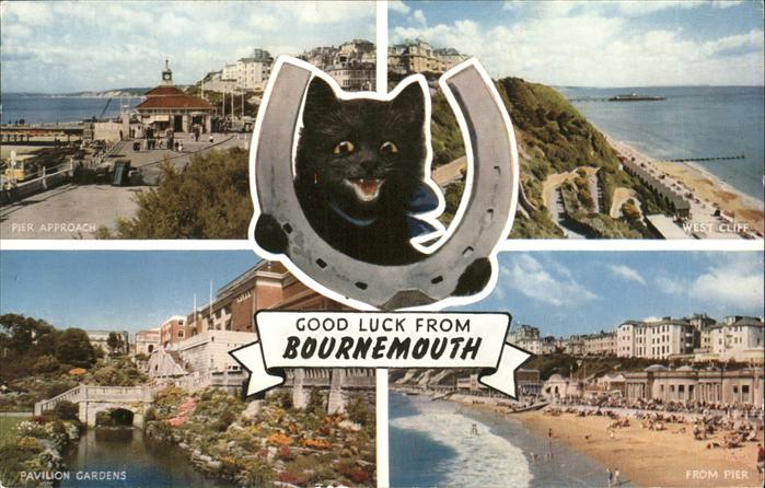 Bournemouth From Pier Pavilion Gardens Cat