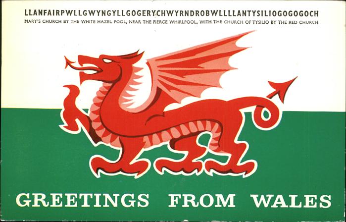 Wales Drache