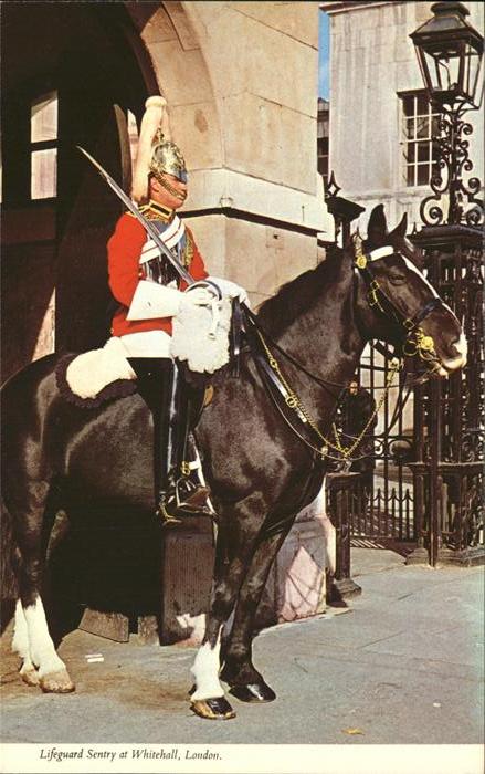 London Lifeguard Sentry Whitehall