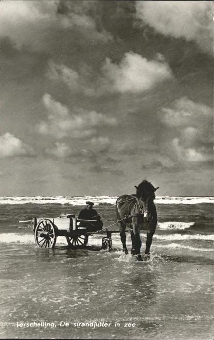 Terschelling De strandjutter zee Pferd