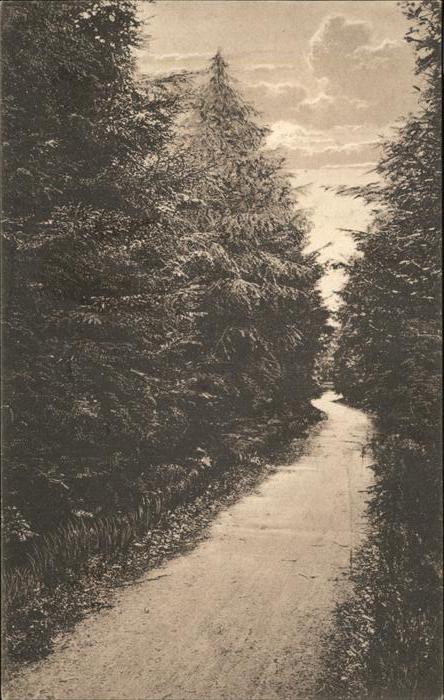 Niederlande Liesbosch Prinsenhage