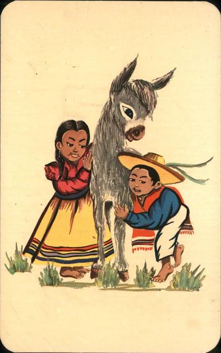 Mexico Vistas tipicas Esel Kind