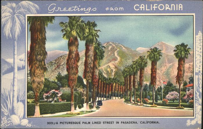 Pasadena California Picturesque Palm Lined Street Kuenstlerkarte