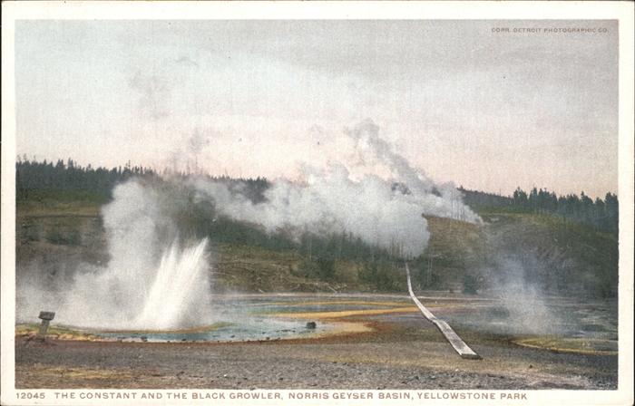 Yellowstone National Park Constant and Black Growler Norris Geyser Basin
