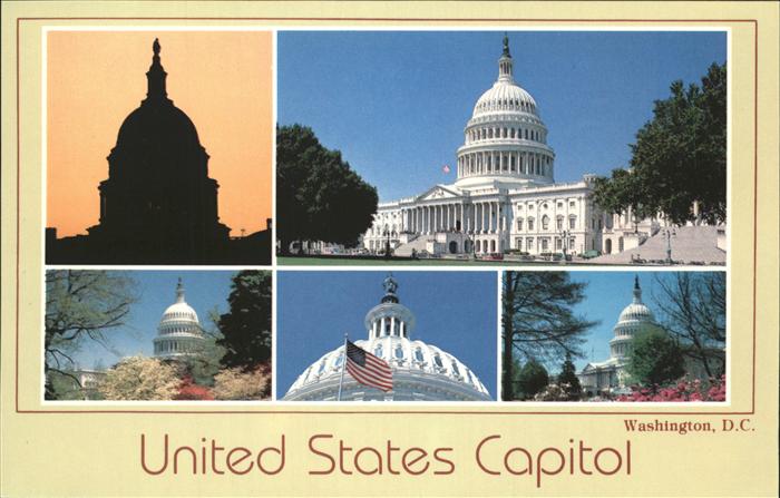 Washington DC United States Capitol Flag