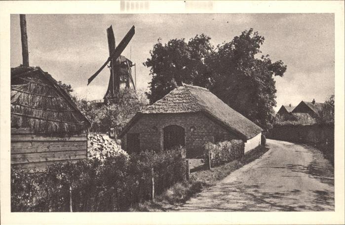 Niederlande Windmuehle