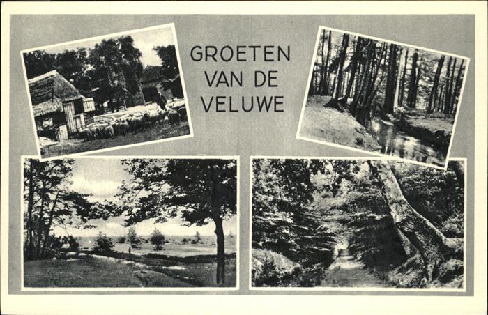 Niederlande Groeten van de Veluwe