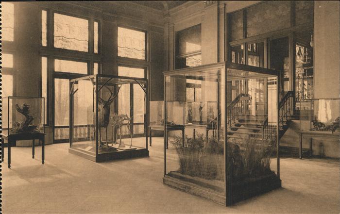 Anvers Antwerpen Palais des Fetes (Museum)