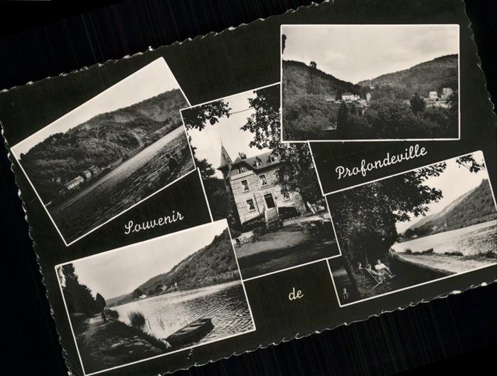 Profondeville Hotel-restaurant FRISIA