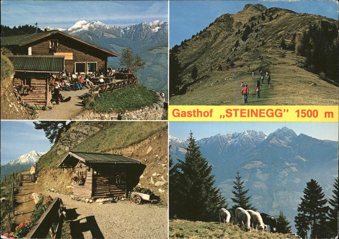 Dorf Tirol Berggasthof Steinegg Muthoefe Mutspitze Schafe Berghuette Meraner Hoe