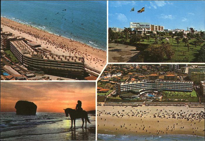 Matalascanas Hotel Tierra Mar Playa vista aerea caballo