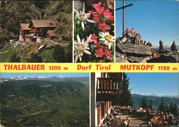 Dorf Tirol Naturpark Texelgruppe Bergasthaus Thalbauer Mutkopf Terrasse Gipfelkr