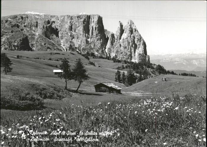 Dolomiti Wiese Huette