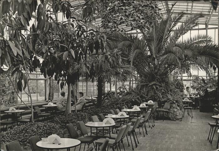 Gora Zielcna Palmiarnia