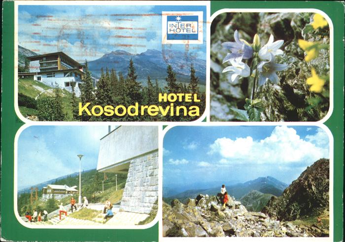 Brezova Tepla Inter Hotel Kosodrevina