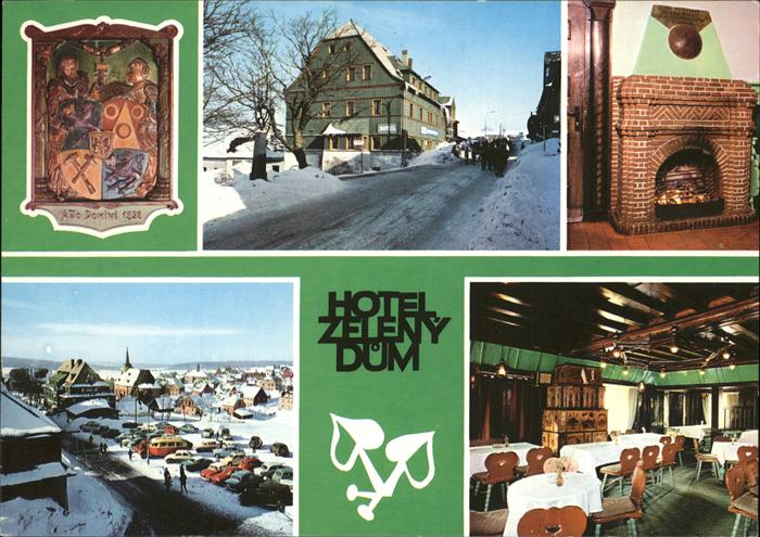 Krusne Hory Hotel Zeleny Dum Kamin