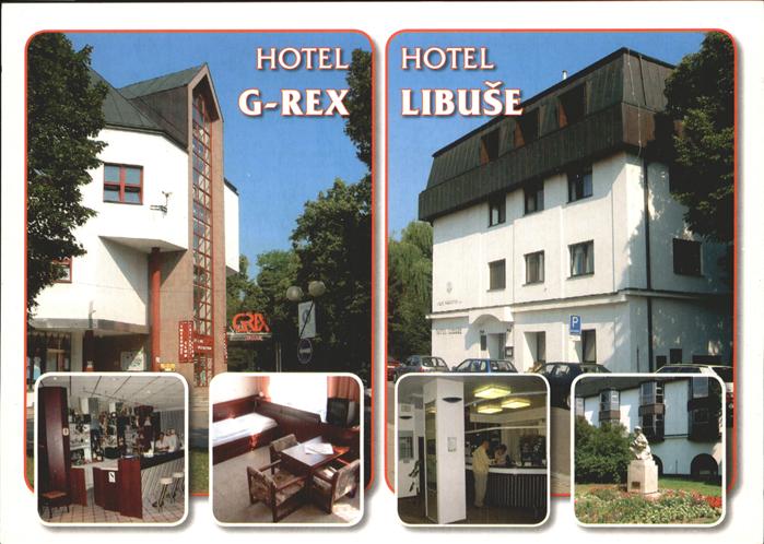 Podebrady Hotel G Rex Hotel Libuse Denkmal Skulptur