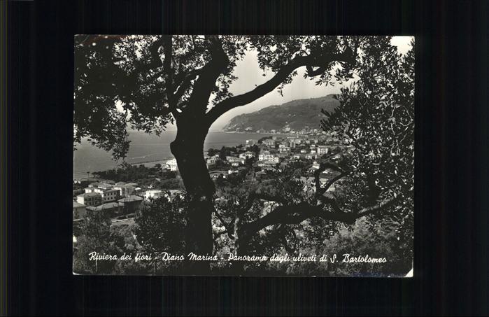 Diano Marina Panorama dagli uliveti di S. Bartolomeo Riviera dei fiori