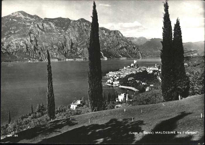 Malcesine Lago di Garda Veduta fra i cipressi Zypressen