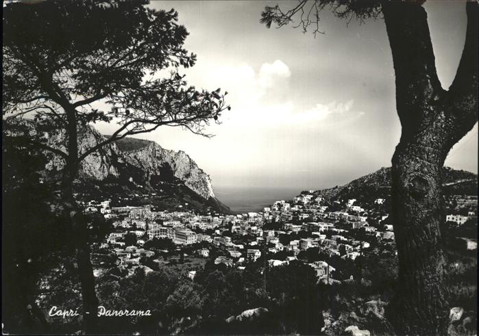 Capri Panorama
