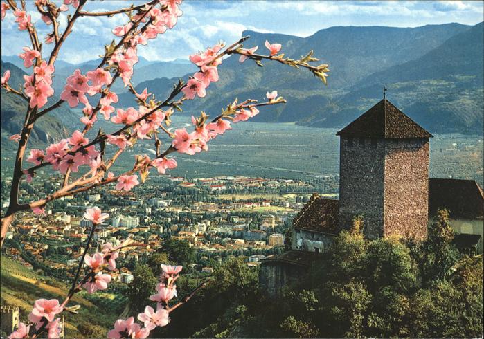 Merano Meran Castel Tirolo