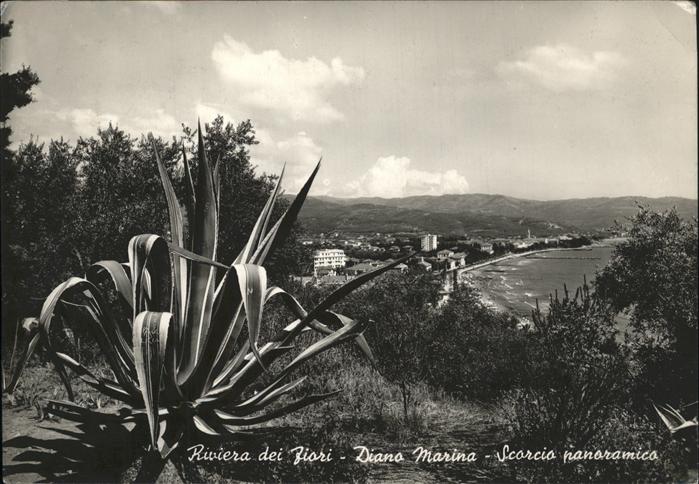 Diano Marina Scorcio panoramica