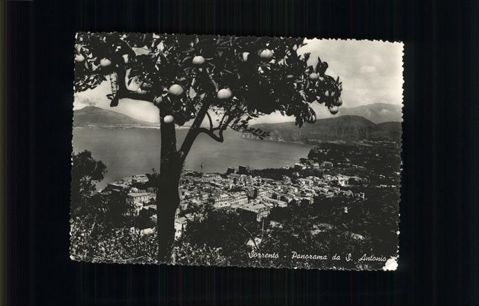 Sorrento Campania Panorama da San Antonio