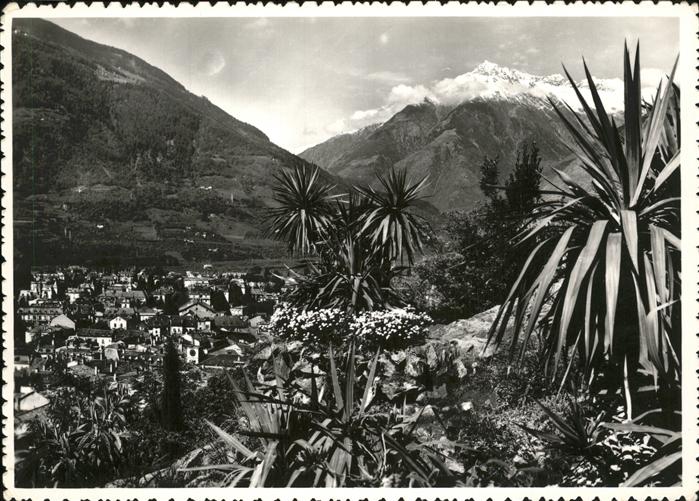 Merano Meran