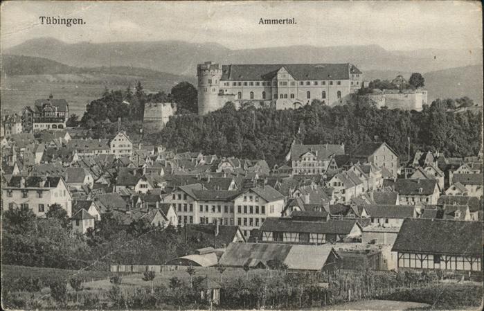 TueBINGEN BW Ortsblick mit Schloss