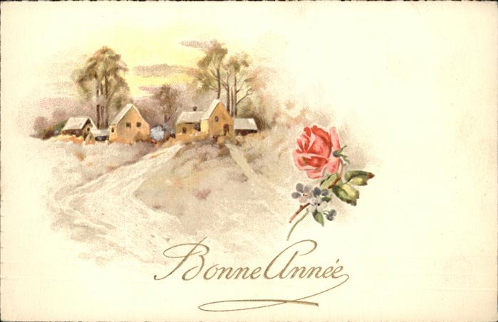Rose Neujahr