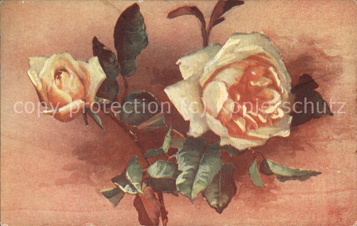 Verlag Tucks Oilette Nr. 9616 Rosen