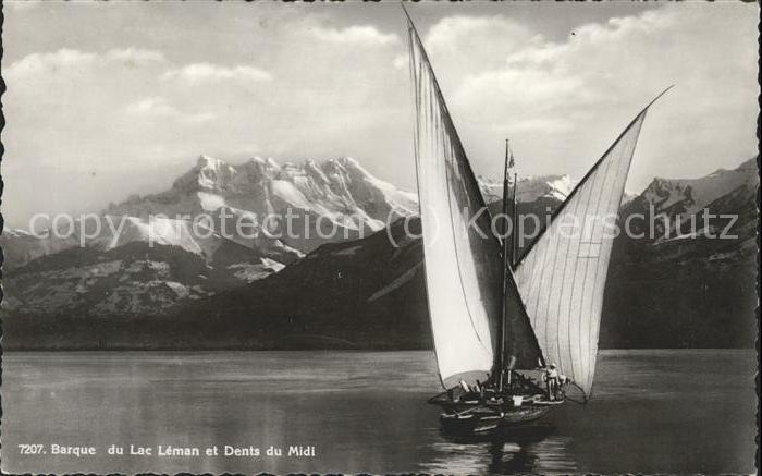 Segelboote Lac Leman Dents du Midi
