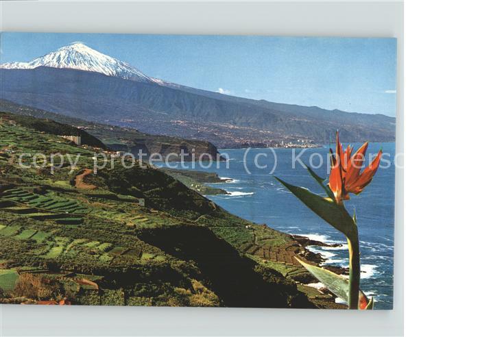 Tenerife Zona Norte con el Teide Volcan Vulkan