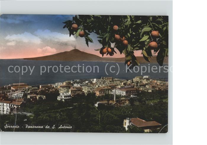 Sorrento Campania Panorama da San Antonio Vesuv Orangenbaum