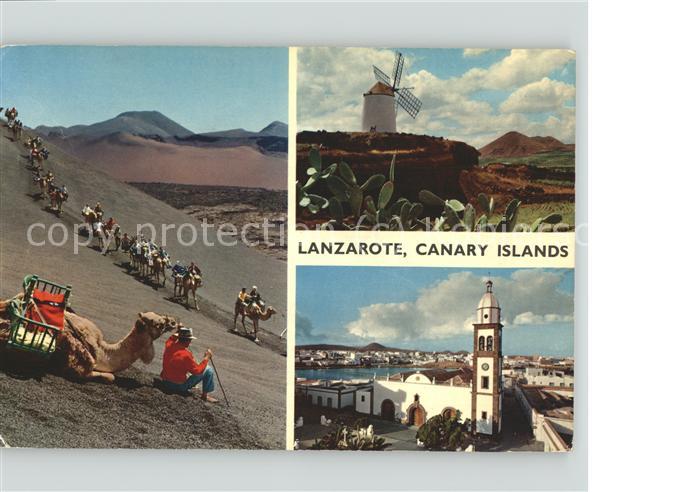 Lanzarote Kanarische Inseln Motivos de la Isla de los Volcanes Molino Kamel Wind