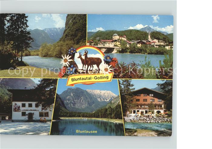 Golling Salzach Partie an der Salzach Bluntausee Gasthof Baerenhof Alpenblumen E