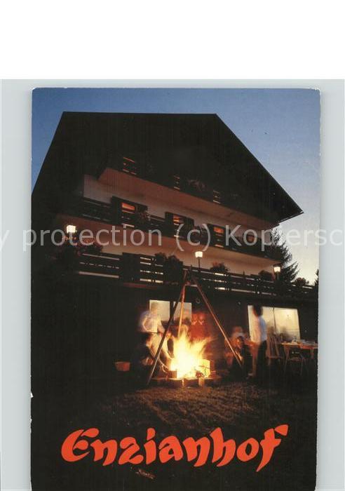 Ligist Hotel Enzianhof Lagerfeuer